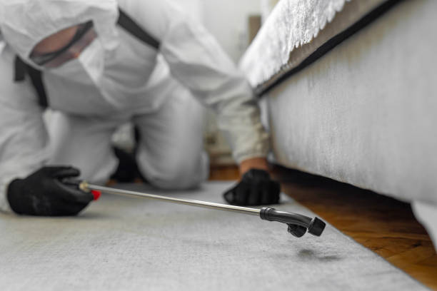 Professional Termite Control technician working in Shokan, NY
