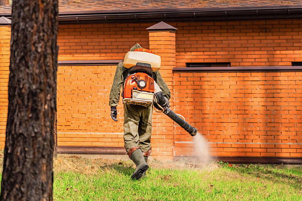 Trusted Fumigation Services service in Shokan, NY - Nex Pest Control